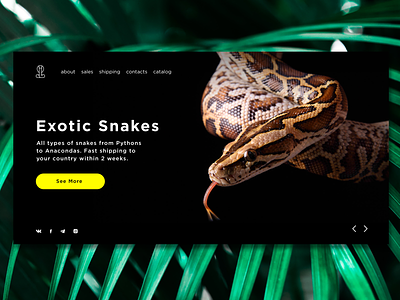 Exotic Snakes Banner card design jungle manner smm snake ui ux web