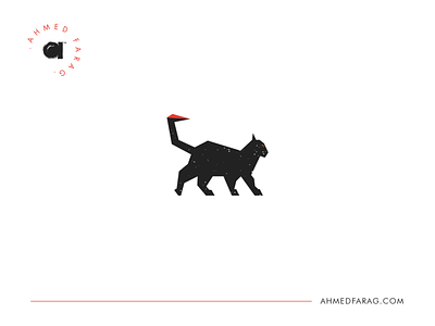 Captain MEOW Icon animal cat design icon logo logodesign logos meow minimal vector