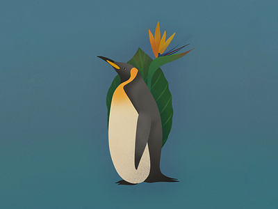 Penguin and Paradise animal bird birds of paradise illustration penguin plant procreate