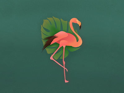 Flamingo and Monstera