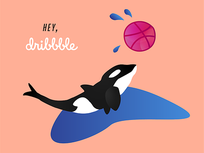 Hey, Dribbble! design dribbble first first post first shot firstshot hello hey illustration illustrator intro introduction killer whale orca orca whale shot thanks water whale