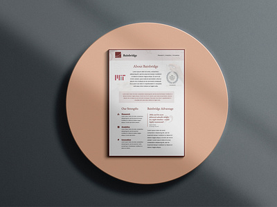 Brochure Design for Consulting Company