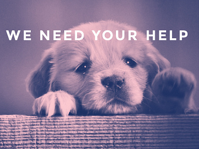 We need your help. charity design dogs free hello help logo merchandise printing puppies tattoo