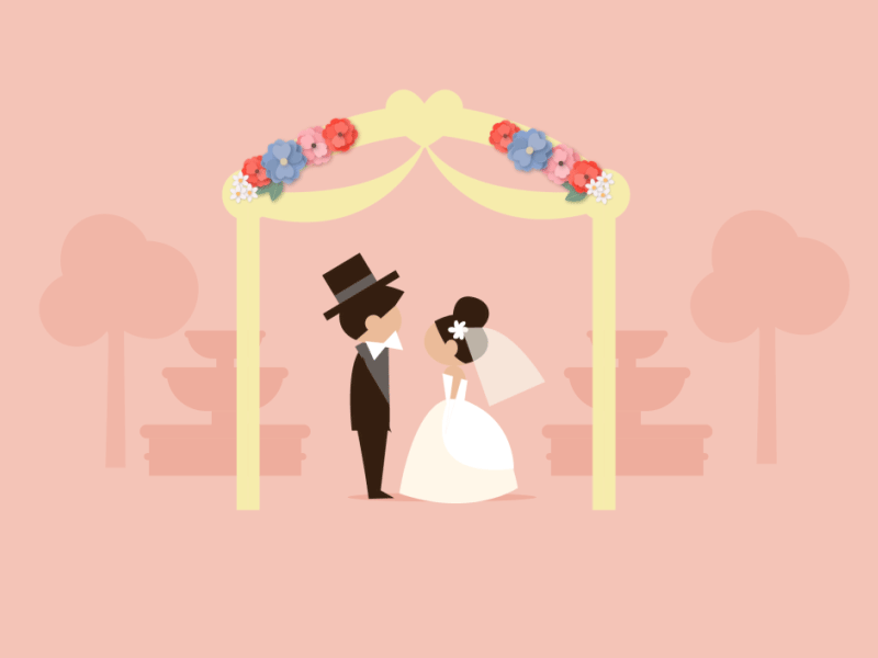 Wedding Photography adobe aftereffects animation art artwork colours creative flat gif illustration motion