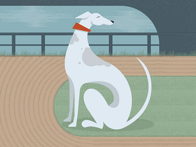 Greyhound