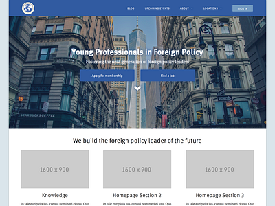 Young Professionals in Foreign Policy blue nationbuilder non profit nonprofit