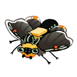 Butterbug404