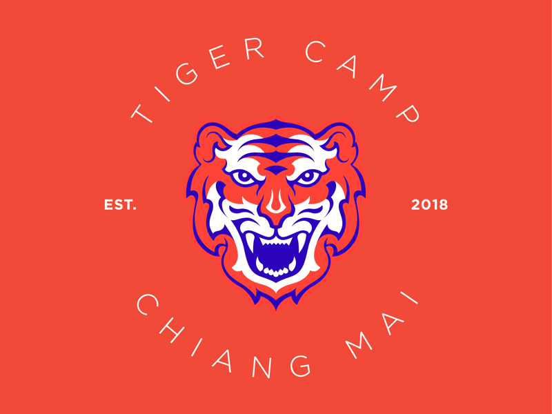 Tiger Camp by illutype on Dribbble