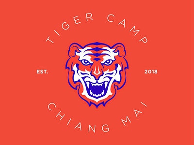 Tiger Camp branding camp illustration logo tiger
