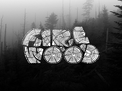 Fire Wood a z typeface typography