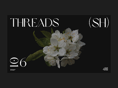 Threads Series p4 brand branding design illustration logo photography portfolio typography ui ux