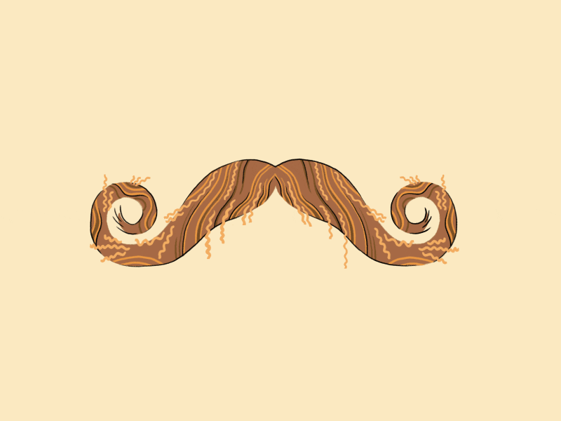 Movember Mustaches 2d after effects animation design gif illustration motion movember mustaches sticker
