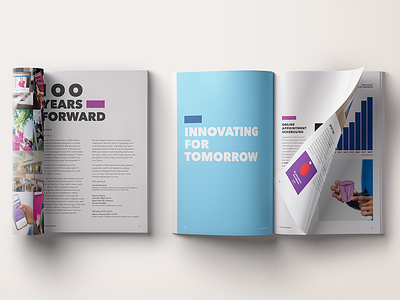 Second Century Campaign Report graphic design print design
