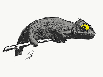 Chameleon canvas chameleon illustration lizard simple sketch