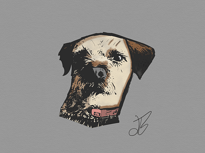 Border Terrier canvas design dog illustration illustration
