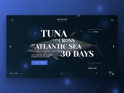 Ocean Fauna | Mainsrceen arrow black blog blue clean design digital fish flow minimal screen text typography ui ux web