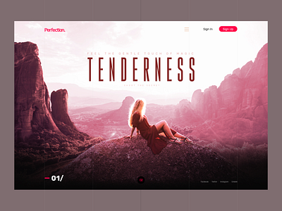 Concept — TENDERNESS beautiful concept inspiration perfection travel typography ui ui design ux web webdesign