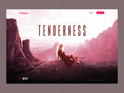 Concept — TENDERNESS