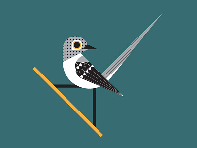 Northern Mockingbird animal bird geometric illustration lines logo mockingbird pattern texas texture vector