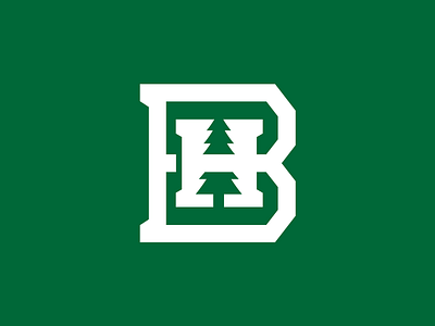 B+H+Tree brand branding green h icon logo logodesign logos negative space logo outdoors simple south dakota tree university