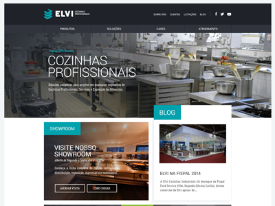 Elvi - new website home homepage site web webdesign website wordpress