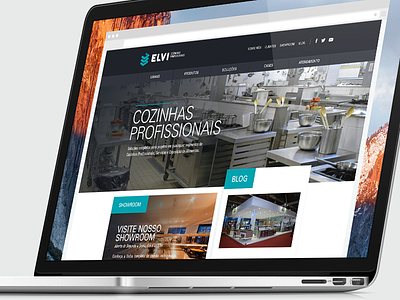 Elvi - website design home homepage interface layout menu site ux web webdesign website wordpress