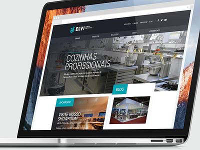 Elvi - website