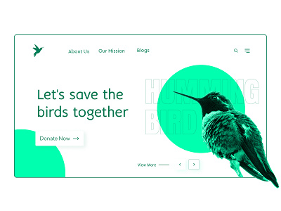 Save Birds Concept Website Design app birds branding design hero section landing page minimal save birds ui ux vector web website websites