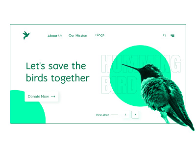 Save Birds Concept Website Design