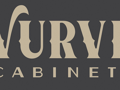Vurve Cabinets custom typography design identity identity design logo logo design type typography vurve cabinets