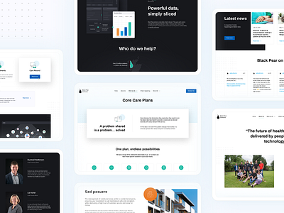 Black Pear Software covid darkmode design figma figmadesign health healthcare hospital landingpage medicalapp medicine nationalhealth nhs software user experience uxui webapp webdesign website