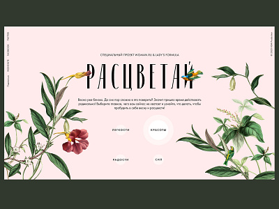 Расцветай botanical collage desktop flowers media specialproject webdesign