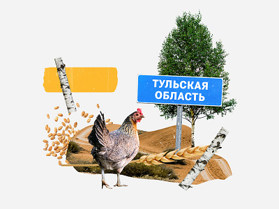 chicken from russia chicken collage nature russia