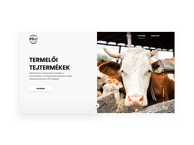 Milkfarm desktop design concept