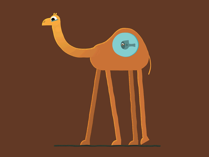 Camel by Chen Libman on Dribbble