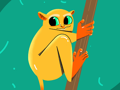 The Tarsier