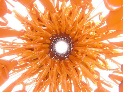 Knittube blender blender3d design flower knit orange sun thread tube