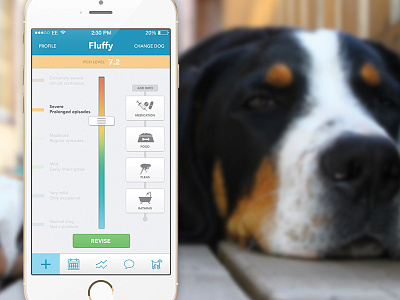 Dog Application app application dog ios ios7 mobile pet slider