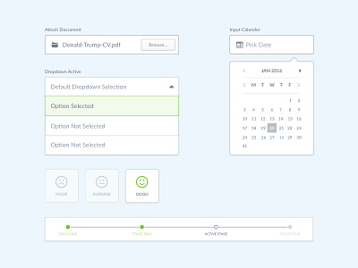 More UI Kit Assets asset assets form input interface design ui ux