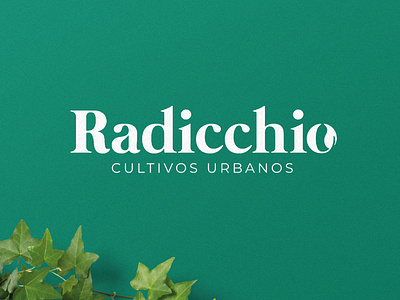 Logo Radicchio eco ecofriendly green identity leaf logo nature organic plant seeds