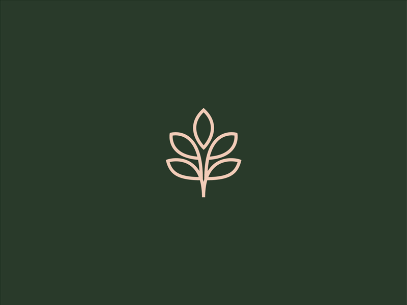 Thrive Logo by Hannah Jessee on Dribbble