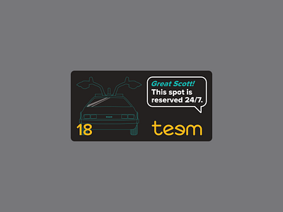New parking signs for Teem 1.21 jiggawatts back to the future delorean time machine