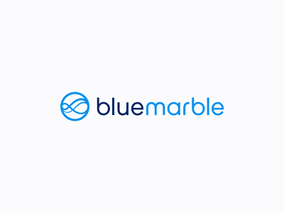 BlueMarble logo branding digital transformation illustrator logo software