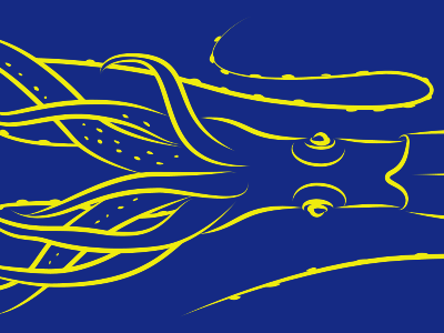 Squid illustration line ocean squid
