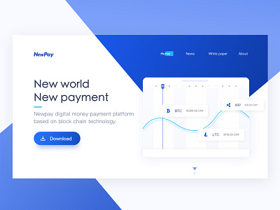 NewPay card financial graph web design