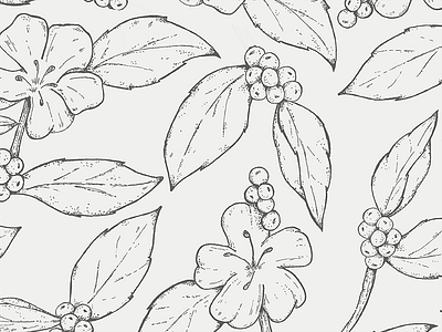 Flower Pattern branding coffee detroit drawing floral identity illustration label michigan packaging pattern plants