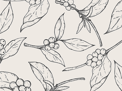 Coffee Plant Illustrations branding coffee detroit drawing floral identity illustration label michigan packaging pattern plants
