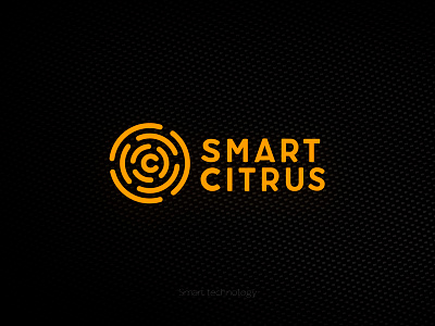 Smart citrus citrus fingerprint house ii logo logotype orange smart smart city smart home