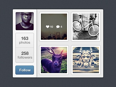 Mini Instagram follow instagram profile rebound widget