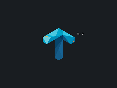 TM+D branding identity logo monogram monomark tensor
